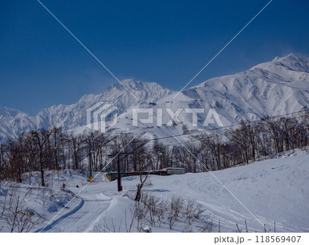 スキー場　ゲレンデ風景　白馬岩岳マウンテンリゾート 118569407