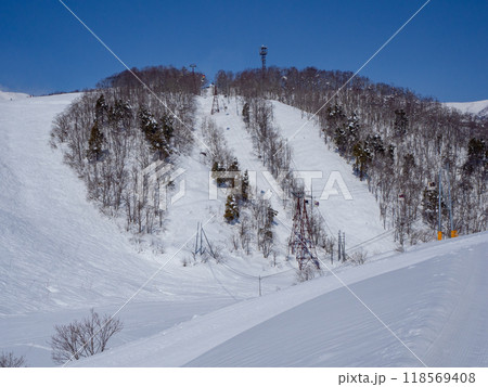 スキー場　ゲレンデ風景　白馬岩岳マウンテンリゾート 118569408