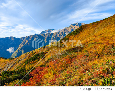 秋の唐松岳登山（八方池山荘～八方山：鹿島槍ヶ岳・五竜岳を望む） 118569663