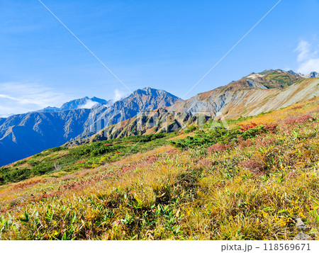 秋の唐松岳登山(八方山から鹿島槍ヶ岳・五竜岳・唐松岳を望む) 秋の唐松岳登山(八方山から鹿島槍ヶ岳・五竜岳・唐松岳を望む) 118569671