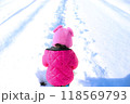 雪道を散歩する子供 118569793