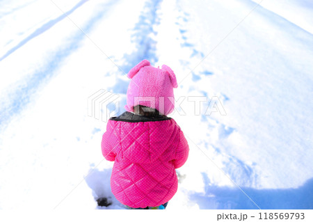 雪道を散歩する子供 118569793