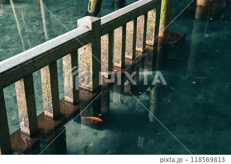 鹿島神宮 御手洗池 みたらしいけ (茨城県鹿嶋市) 鹿島神宮 御手洗池 みたらしいけ (茨城県鹿嶋市) 118569813