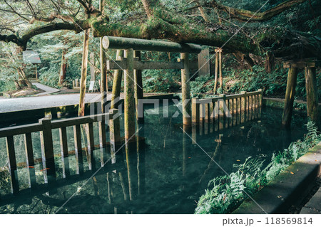 鹿島神宮 御手洗池 みたらしいけ （茨城県鹿嶋市） 118569814