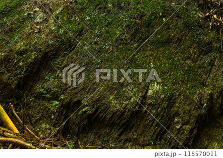 断層になっている大きな岩肌 118570011