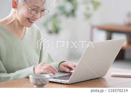 綺麗なリビングでパソコンを操作するシニア女性　上半身と手元のクローズアップのタイピング	 118570214