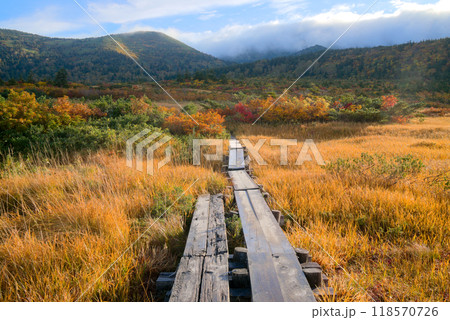 八甲田山の下毛無岱と田茂萢岳 118570726