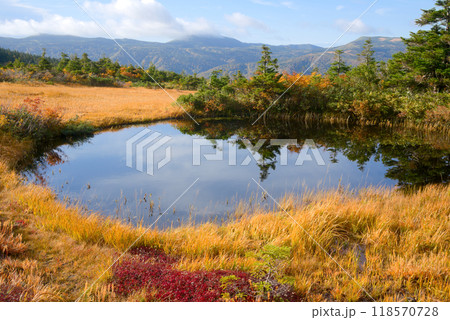 上毛無岱の丸沼と南八甲田山 118570728