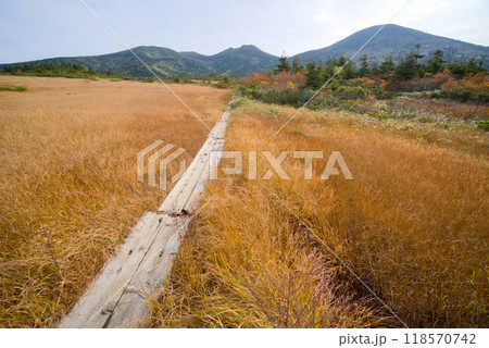 上毛無岱と八甲田山 上毛無岱と八甲田山 118570742