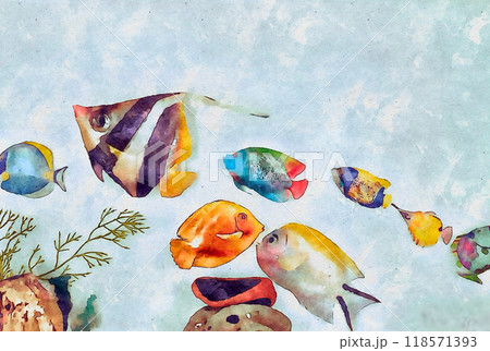 海底の魚たち 海底の魚たち 118571393
