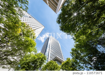 緑の多いオフィス街の風景（東京丸ノ内） 118571671