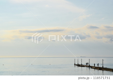 夕暮れの原岡桟橋　千葉 118571731