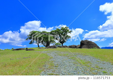 丹野平を撮影　6 118571753