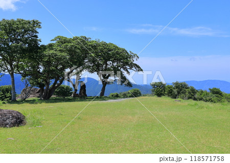 丹野平を撮影　1 118571758