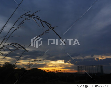 幻想的な夕景 幻想的な夕景 118572244