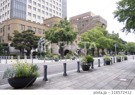 日本大通りの秋 日本大通りの秋 118572412