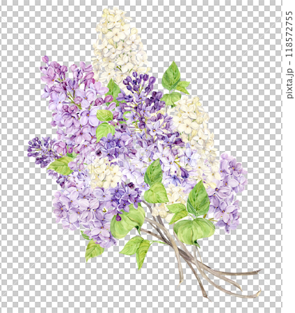 Bouquet of lilac. Violet, white and lilac spring watercolor flowers. Illustration for greeting cards with the image of Mother's Day, Women's Day, wedding in Provence style. 118572755