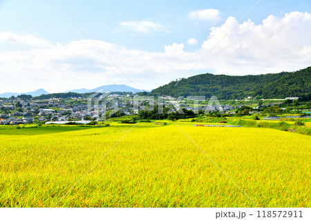 長野県東御市和周辺の風景(長野県東御市)【2024.9】 長野県東御市和周辺の風景(長野県東御市)【2024.9】 118572911