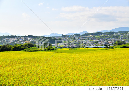 長野県東御市和周辺の風景(長野県東御市)【2024.9】 長野県東御市和周辺の風景(長野県東御市)【2024.9】 118572914