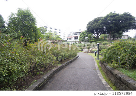 港の見える丘公園の秋　 118572984