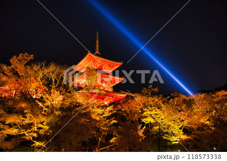 清水寺夜間特別拝観2023年桜の季節 清水寺夜間特別拝観2023年桜の季節 118573338
