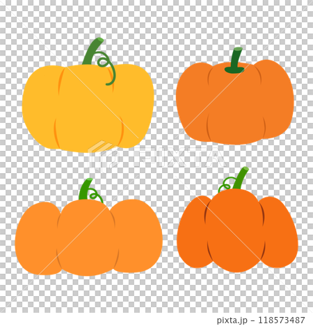 Various pumpkin graphic for halloween, autumn, festival and illustration 118573487