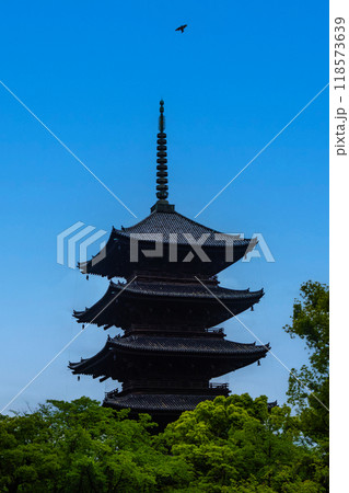 【京都風景】風格ある東寺の五重塔 118573639