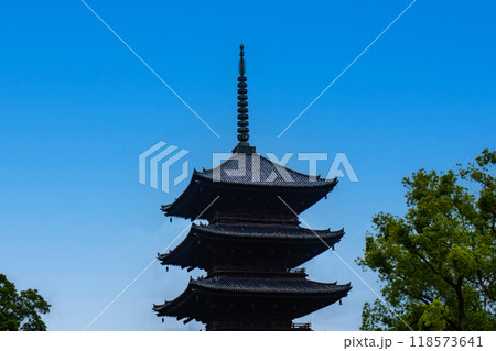 【京都風景】風格ある東寺の五重塔 【京都風景】風格ある東寺の五重塔 118573641