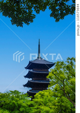【京都風景】風格ある東寺の五重塔 【京都風景】風格ある東寺の五重塔 118573644