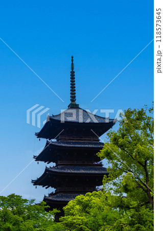 【京都風景】風格ある東寺の五重塔 【京都風景】風格ある東寺の五重塔 118573645