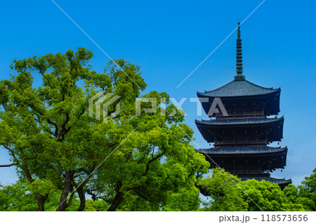 【京都風景】風格ある東寺の五重塔 118573656