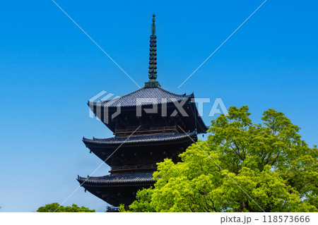 【京都風景】風格ある東寺の五重塔 118573666