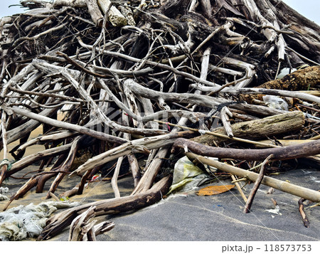 large pile consisting of branches and twigs located on the beach 118573753