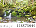 八ヶ岳　オーレン小屋への登山道にある滝 118573949