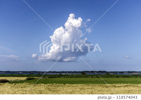 初秋の青空を悠々と泳ぐ入道雲【秋の田園上空】 初秋の青空を悠々と泳ぐ入道雲【秋の田園上空】 118574043