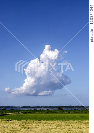 初秋の青空を悠々と泳ぐ入道雲【秋の田園上空】 初秋の青空を悠々と泳ぐ入道雲【秋の田園上空】 118574044