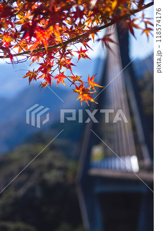 紅葉の佐伯宇目 唄げんか大橋 紅葉の佐伯宇目 唄げんか大橋 118574176