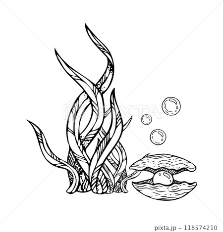 Black and white mussel seashell with pearl and long laminaria seaweed vector illustration. Hand drawn monochrome seabed with air bubbles for underwater and marine designs Black and white mussel seashell with pearl and long laminaria seaweed vector illustration. Hand drawn monochrome seabed with air bubbles for underwater and marine designs 118574210