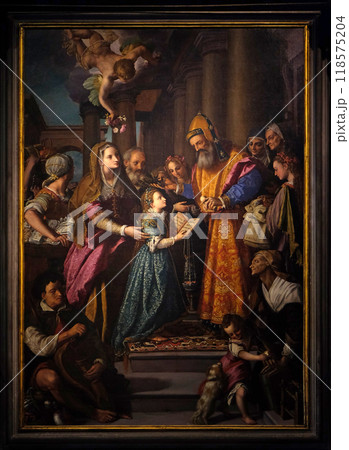 Altarpiece depicting Presentation of Mary to the temple, work by Alessandro Allori in Cathedral of St. Martin in Lucca, Italy Altarpiece depicting Presentation of Mary to the temple, work by Alessandro Allori in Cathedral of St. Martin in Lucca, Italy 118575204