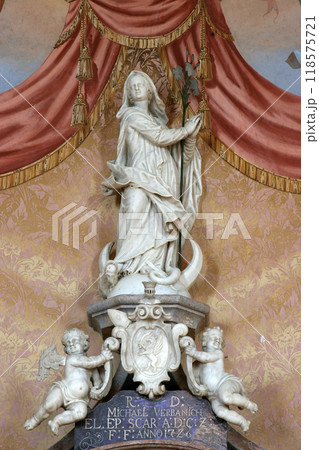 Assumption of the Virgin, statue on the altar of Saint Michael in Church of Assumption of Virgin Mary in Zakanje, Croatia 118575721