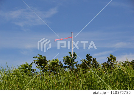 浅川土手の夏空　八王子市 118575786