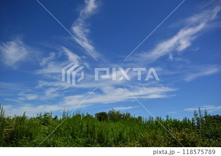 浅川土手の夏空　八王子市 118575789