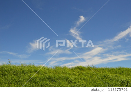 浅川土手の夏空　八王子市 118575791