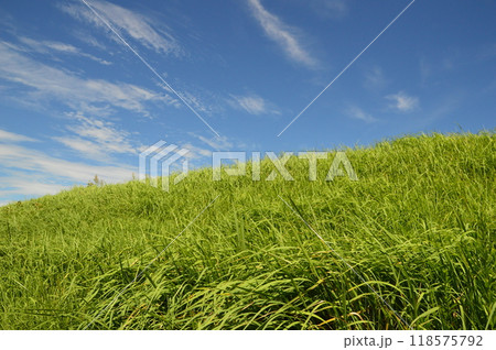浅川土手の夏空 八王子市 浅川土手の夏空 八王子市 118575792