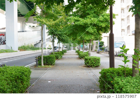 街路樹のある歩道 街路樹のある歩道 118575907