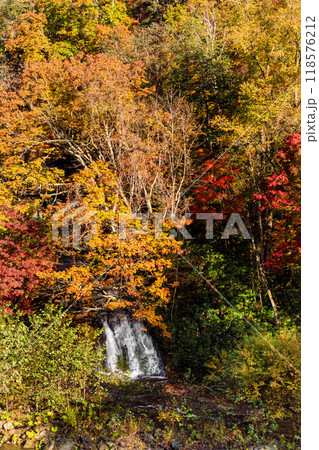 北海道恵庭市、紅葉した木々の間から流れ落ちる恵庭渓谷のラルマナイの滝【10月】 118576212