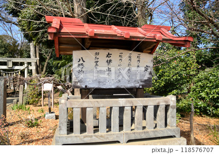 埼玉県深谷市上野台に鎮座する八幡神社 118576707