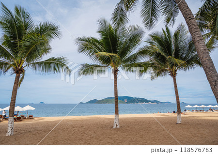 Palm trees on a sandy beach by sea in the resort of Nha Trang in Vietnam in summer on a cloudy day. View of the island with Vinpearl Amusement Park Palm trees on a sandy beach by sea in the resort of Nha Trang in Vietnam in summer on a cloudy day. View of the island with Vinpearl Amusement Park 118576783