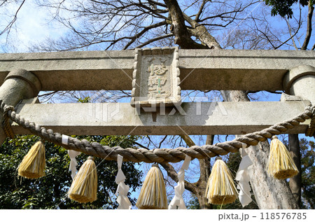 埼玉県深谷市上野台に鎮座する八幡神社 埼玉県深谷市上野台に鎮座する八幡神社 118576785