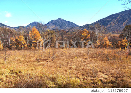 晩秋の戦場ヶ原自然研究路(小田代ヶ原)【栃木県日光市】 晩秋の戦場ヶ原自然研究路(小田代ヶ原)【栃木県日光市】 118576997